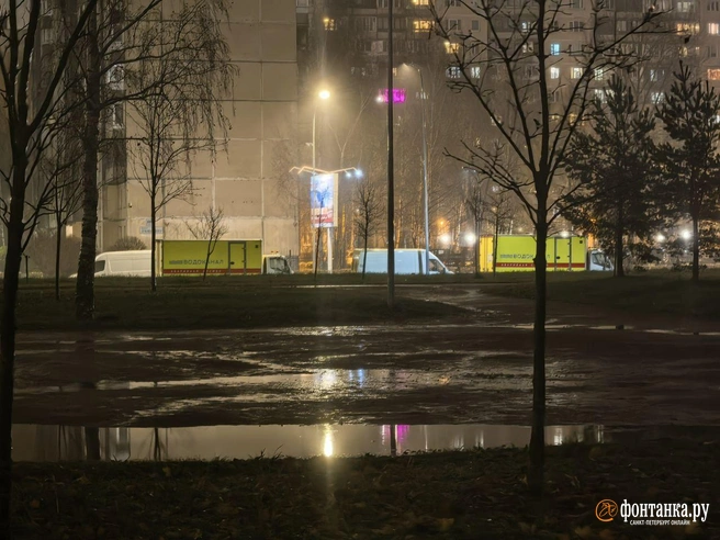 Рабочие Водоканала — вновь у Муринского ручья. Горожане жалуются на запах | Источник: читатель «Фонтанки»