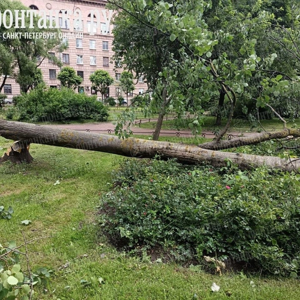 Источник: читатель «Фонтанки»