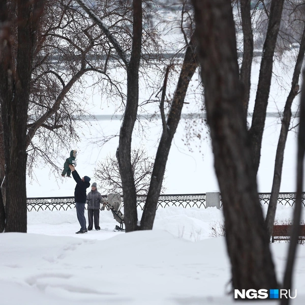 Сколько счастья! | Источник: Александр Ощепков / NGS.RU