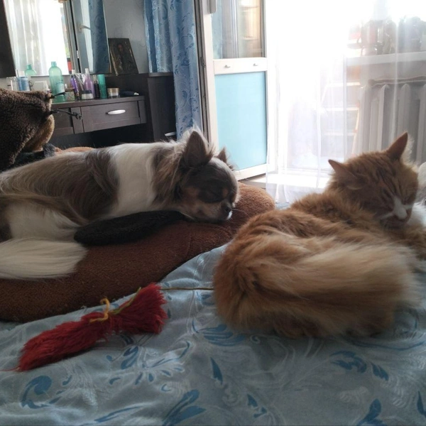 Источник: читатель НГС