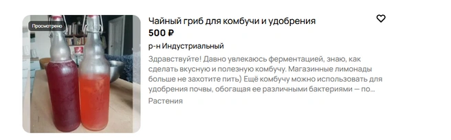 Домашние лимонады из комбучи&nbsp;— недешевое удовольствие | Источник: Авито