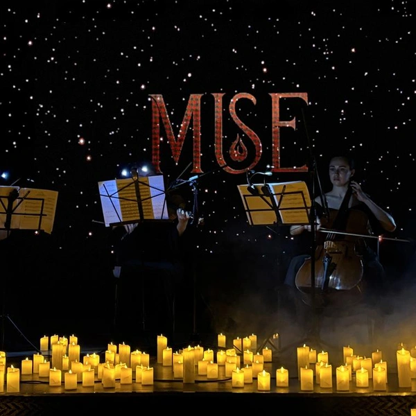 Шоу MUSE — спектакль на стыке музыки, света и визуального искусства | Источник: ИП Проскурин Леонид Игоревич