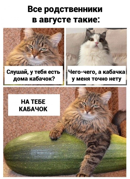 Источник: соцсети