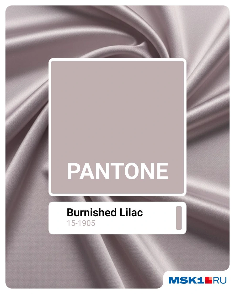Burnished Lilac&nbsp;— бледно-сиреневый | Источник: Евгения Бикунова / Городские медиа