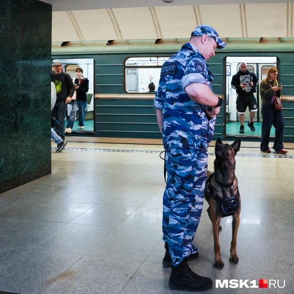 Источник: Артем Устюжанин / MSK1.RU
