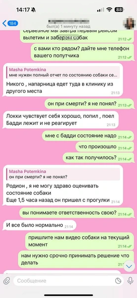 Но вскоре Мария не смогла участвовать в разговоре из-за нахлынувших чувств | Источник: Родион Проводин