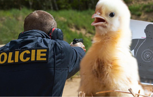 Спасение цыпленка и неудачная шутка: 5 самых нелепых смертей в мире