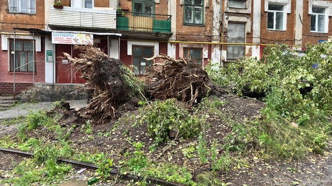 Поваленные деревья лежали во дворах, на улицах, на проезжей части  | Источник: Инцидент | Златоуст / Vk.com
