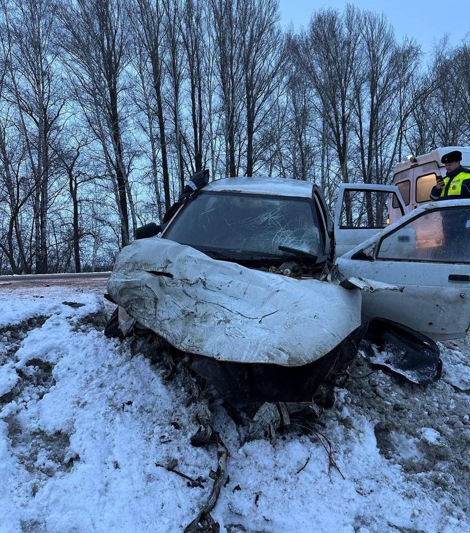 «Два кузова в кашу». На дороге «Тольятти-Ташелка» столкнулись «десятка» и микроавтобус — фото 