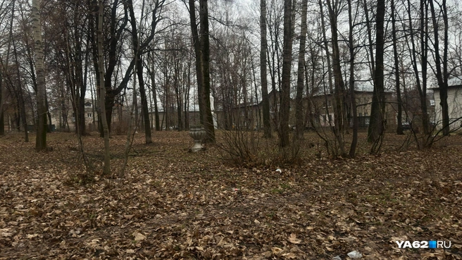 В отзывах рязанцы писали, что не знали о существовании сквера&nbsp;— думали, просто двор | Источник: Виктория Улитова / YA62.RU