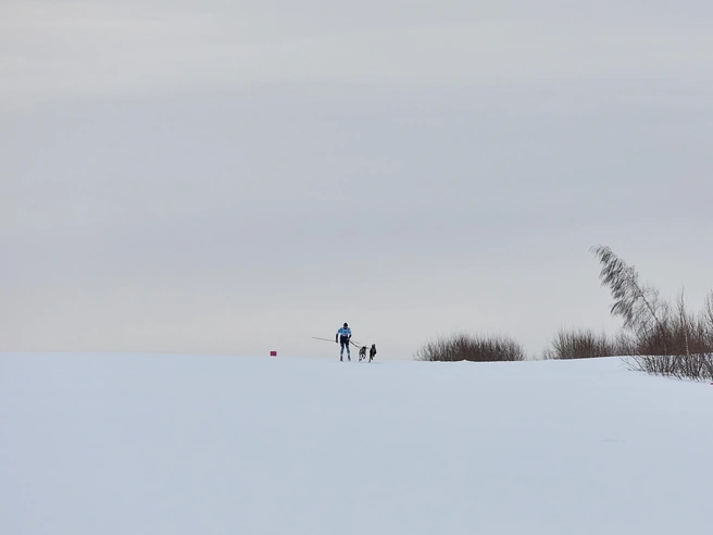 Команды развивают высокую скорость в ходе гонок. | Источник: Александр Ощепков / NGS.RU 