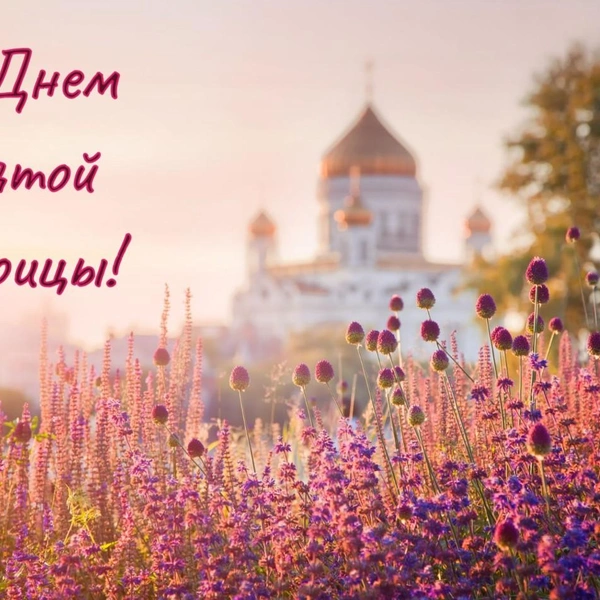 Источник: vokrugsveta.ru