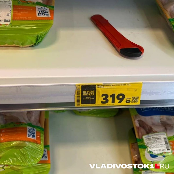 Источник: Елена Буйвол / VLADIVOSTOK1.RU