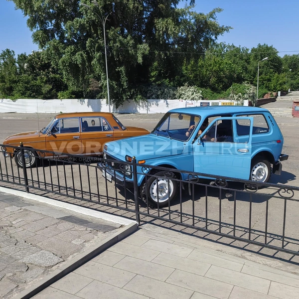Источник: Андрей Пашинский / Voronezh1.ru