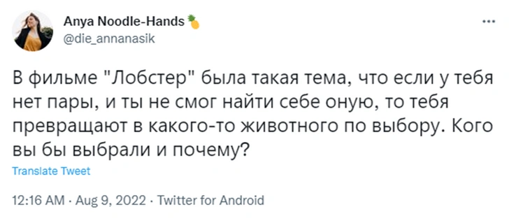 «Хочу быть пандой»: образ жизни каких животных нам кажется привлекательным