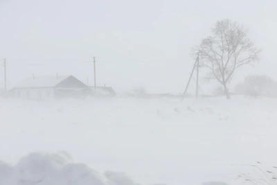 Сретение: как погода предсказывает весну и урожай
