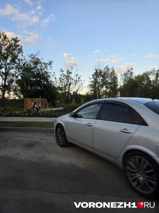Источник: Ирина Булгакова \ Voronezh1.ru