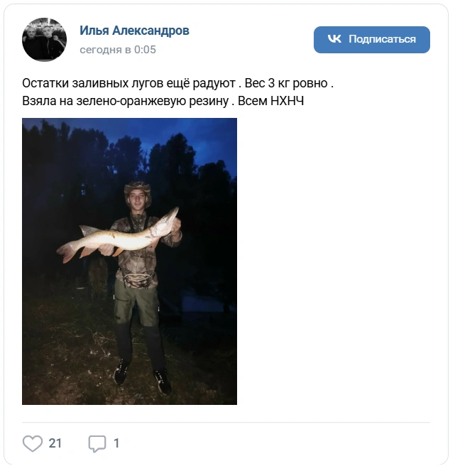 Рыбаку удалось поймать щуку весом 3 кг | Источник: «Алтайское рыболовное сообщество»