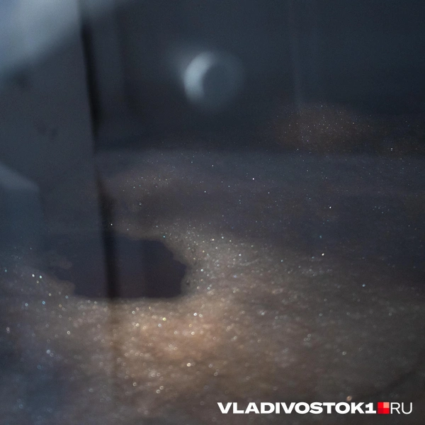 Источник: Елена Буйвол / VLADIVOSTOK1.RU