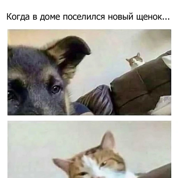 Источник: соцсети