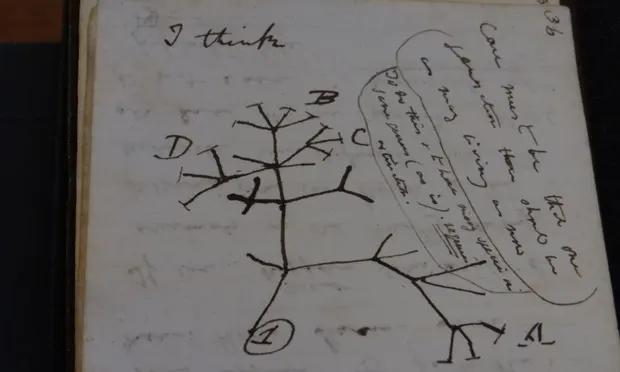«Счастливой Пасхи»: неизвестные вернули украденные 21 год назад дневники Чарльза Дарвина