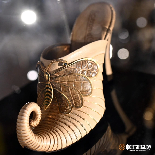 Источник: Илья Снопченко / «Фонтанка.ру»