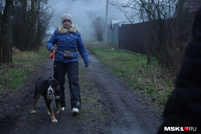 Источник: Дмитрий Толстошеев / MSK1.RU