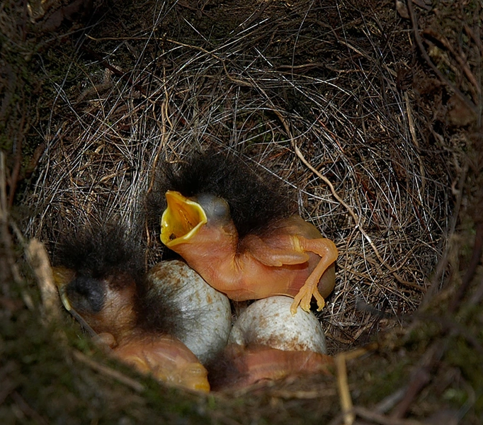 Источник: Shutterstock/Fotodom.ru