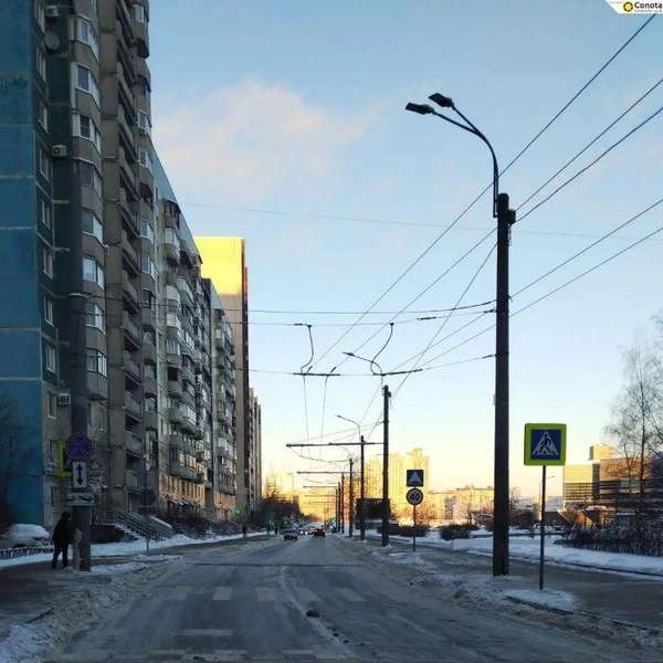 Источник: Комитет по благоустройству Санкт-Петербурга