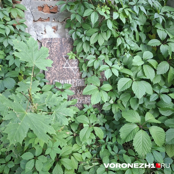 Источник: Алёна Воропаева / Voronezh1.ru