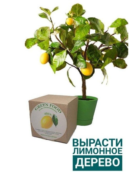 Набор для выращивания лимон, Green foods