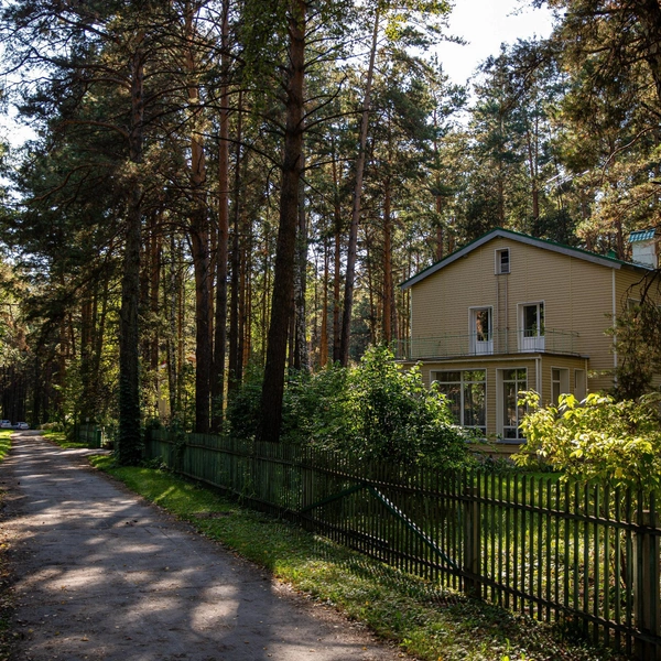Академгородок&nbsp;— одно из любимых мест для прогулок | Источник: Александр Ощепков