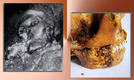 Страница 48 - Татьяна Щеглова – все статьи автора | Вокруг Света