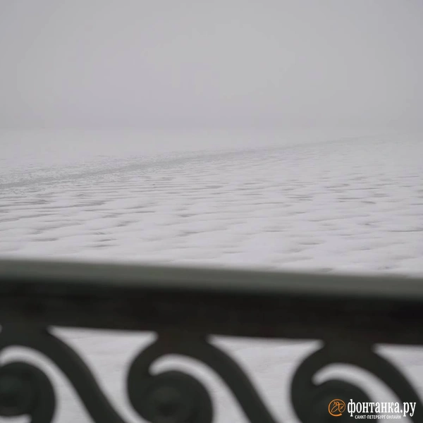 Источник:  Павел Даиси / «Фонтанка.ру