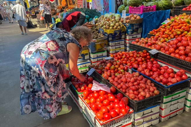 Помидоры стали дороже более чем на 5% | Источник: Елена Буйвол / VLADIVOSTOK1.RU