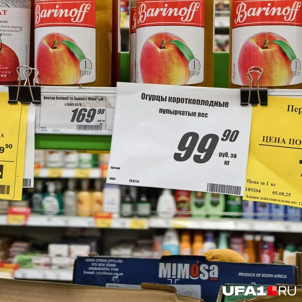 Источник: Булат Салихов / UFA1.RU