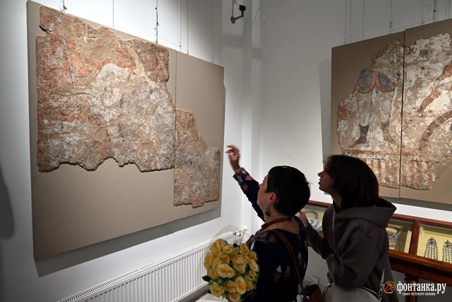 Ана мен әке арасындағы жыныстық қатынас