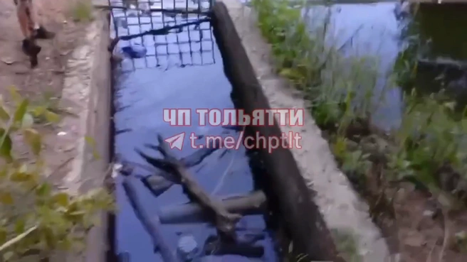 Тело плавало на поверхности воды, но, как сказали очевидцы, лицом вниз | Источник: «ЧП Тольятти» / T.me