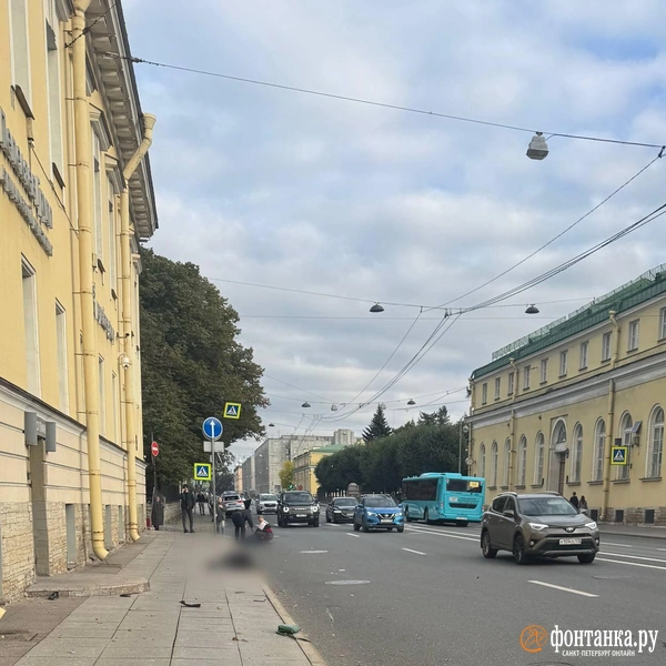 Машина полиции на Шпалерной сбила супружескую пару. Женщина не выжила | Источник: читатель «Фонтанки»