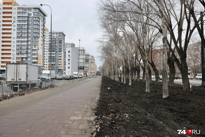 А так плитку положили на другой стороне улицы, там работы уже приняли | Источник: Наталья Лапцевич