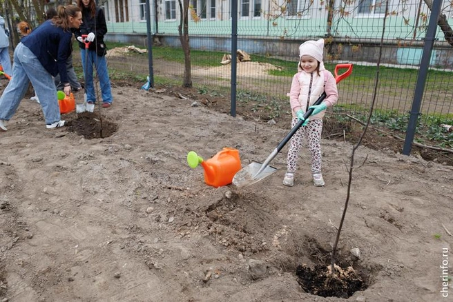 Источник: st.cherinfo.ru