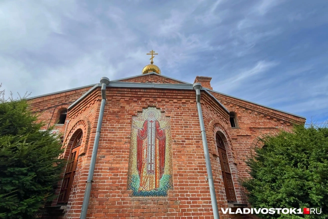 Источник: Елена Буйвол / VLADIVOSTOK1.RU