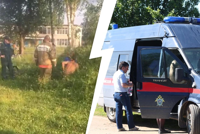 Инцидент произошел на пустыре | Источник: [ТС] ТИПИЧНЫЙ СЕВЕРОУРАЛЬСК™ / Vk.com; Владислав Лоншаков / E1.RU