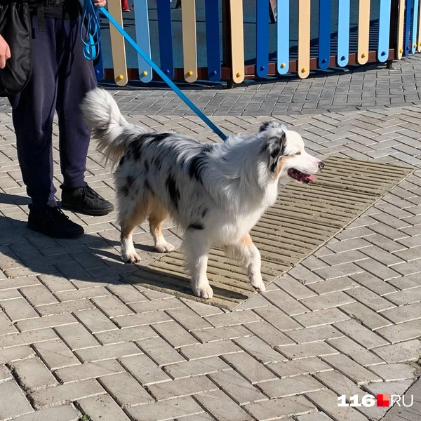 Источник: Ильгиз Шарифзянов / 116.RU