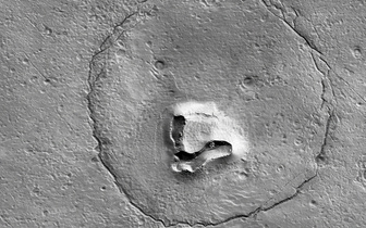 На поверхности Марса заметили огромную морду медведя. Откуда он там взялся?