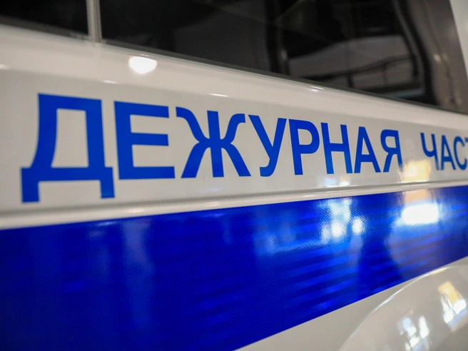 Кинолога планируют уволить со службы, а материалы проверки направят в следственные органы. | Источник: Сергей Коньков / FONTANKA.RU