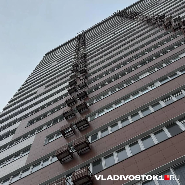 Источник: Елена Буйвол / VLADIVOSTOK1.RU