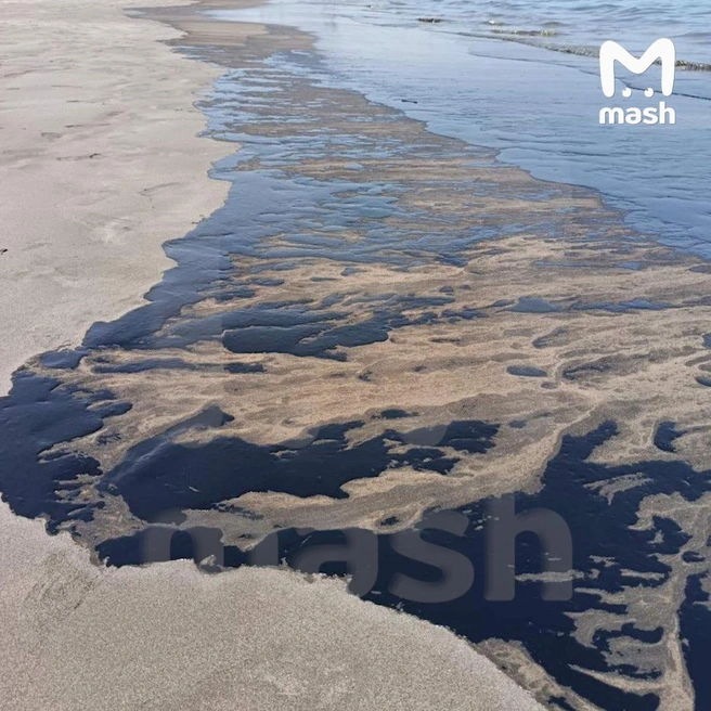 Источник: «Mash» / Telegram