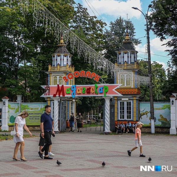 Источник: Наталья Бурухина / NN.RU