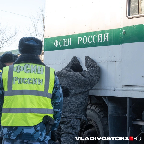 Источник: Елена Буйвол / VLADIVOSTOK1.RU